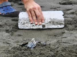 Hotel Photo: Casa Grande at Pacuare Reserve