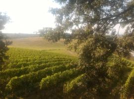 Hotelfotos: Podere Tipico Toscano Tra I Vigneti Di Chianti