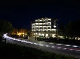 Hotel Helen, hotel di Bacau