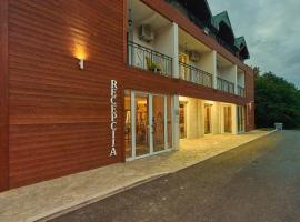 Hotel Serdar, ξενοδοχείο σε Mojkovac