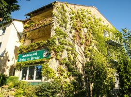 Hotel Krone, ξενοδοχείο σε Άλσφελτ