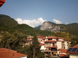 Hotel kuvat: Big apartment next to Olympus mountain