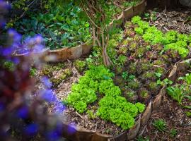 Фотографія готелю: Organic Garden