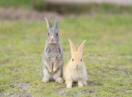 Kyukamura Ohkunoshima, hotel v destinaci Takekara