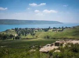 First Group Qwantani