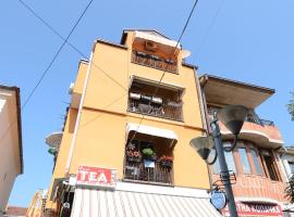 A picture of the hotel: Vila Tea Petrusevski