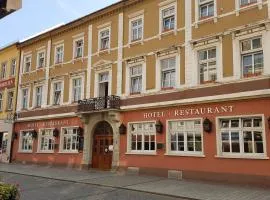 Hotel Sachsenhof, hotel in Riesa