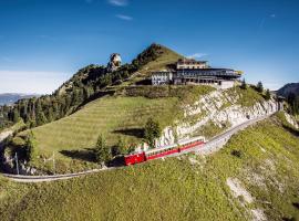 होटल की एक तस्वीर: Berghotel Schynige Platte