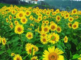 Guesthouse ＆ Beach Cafe Fuego, hotel v destinaci Hyuga