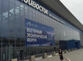 Fotos de Hotel: Visti Stay in Vladivostok Airoport