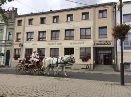 Hotel fotoğraf: Hotel Panský dům