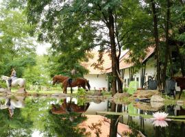 Hunor Lovastanya, ξενοδοχείο σε Kunbaracs