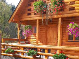 Brvnara Borovik, hotel v destinaci Cetinje