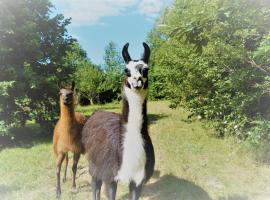 Hotel fotografie: Loire Valley Llama Farm Stay