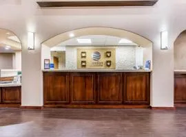 Comfort Inn & Suites Airport-American Way