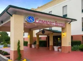 Comfort Suites Cumming-Atlanta near Northside Hospital Forsyth, отель в городе Камминг