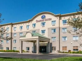 Comfort Suites Wixom / Novi, hótel í Wixom