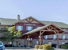 Comfort Inn Owatonna near Medical Center, готель у місті Owatonna