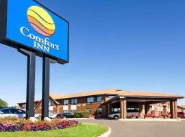 Comfort Inn Swift Current, hotel in Swift Current