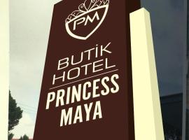 Hotel Photo: princessmayahotel