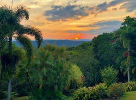 Daintree Manor B&B, hotel in Daintree