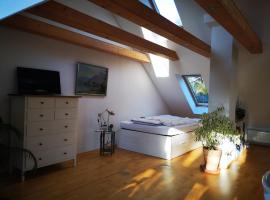 Hotel fotografie: Comfortable rooms in cozy house