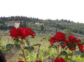 Hotel kuvat: San Cristoforo a Perticaia Villa Sleeps 12 Pool