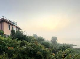 Pensjonat Winnica, hotell Toruńis