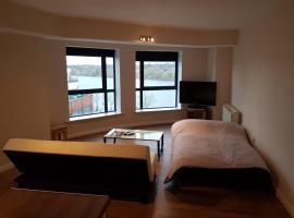 Zdjęcie hotelu: Limerick city centre apartment