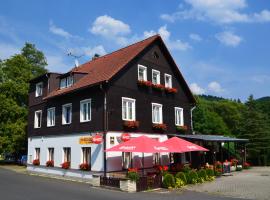 Hotel fotoğraf: Penzion Ve starém krámě 147