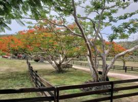 Hotel Photo: Beautiful Unique and Peaceful Farm Wood Cabin