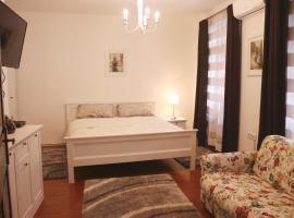 Gambaran Hotel: Studio apartment Zagorka Tkalčićeva street