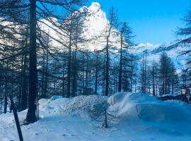 Hotel fotografie: Ampio monolocale CERVINIA con vista su Monte Cervino!