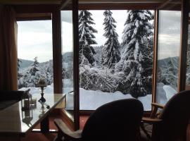 Chata s výhledem、ヤーヒモフのホテル