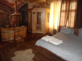 Hotel Photo: Luxusni Apartmany Stodolni