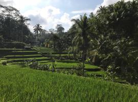 A picture of the hotel: tour and travel in bali