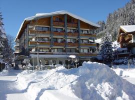 Vital - und Wellnesshotel Hanneshof, ξενοδοχείο σε Filzmoos