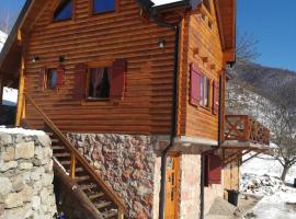 Vila Jelena, hotel v destinaci Crni Vrh