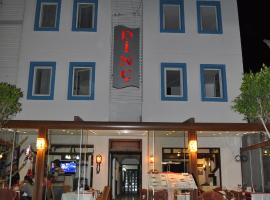 Hotel foto: Dinc Pension