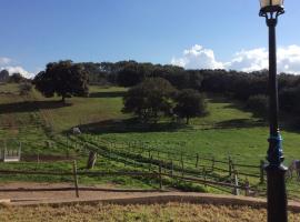 Ξενοδοχείο φωτογραφία: Finca sa Cleda