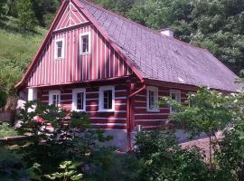 Hotel fotoğraf: Chalupa na Skalce