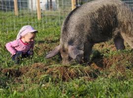 Hotelfotos: Bio-Bauernhof Wilfling