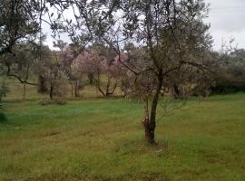 Hotel fotografie: ΑΓΡΟΙΚΙΑ ΣΤΗΝ ΕΥΒΟΙΑ-AGRIKIA IN EVIA PRIVATE