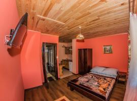 Gambaran Hotel: Domki i Apartamenty NA WZGÓRZU w Solinie