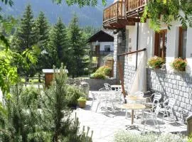 Hotel Flora Alpina