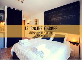 Hotel Photo: LE RACINE CARREE - topbnb dijon