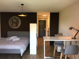 Hotel Foto: Large Studio Near Epfl And Lausanne City Center