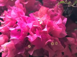 Hotelfotos: BOUGAINVILLEAS