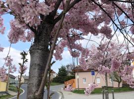 Hotel Foto: Apartmány na Vršku