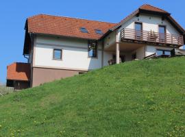 Vdovič Guest House, hotel in Svečina